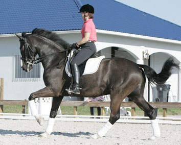 Major Cantering